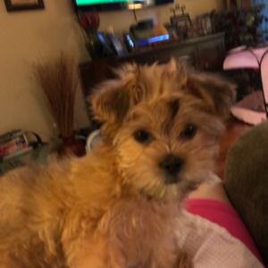 Meet your Posher, Cynthia